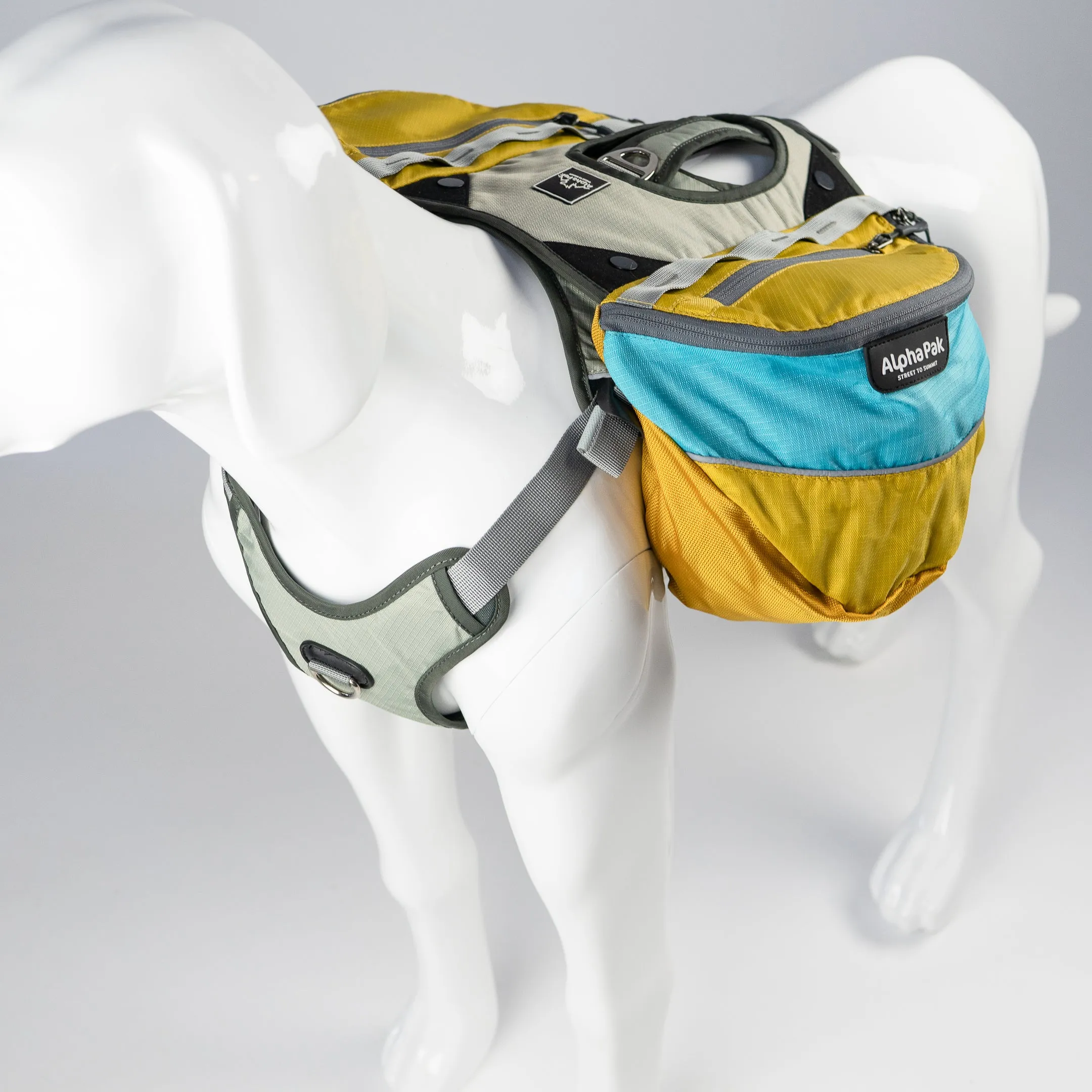 Adventurer EZ Latch™ Dog Pack (2-piece) - Wholesale