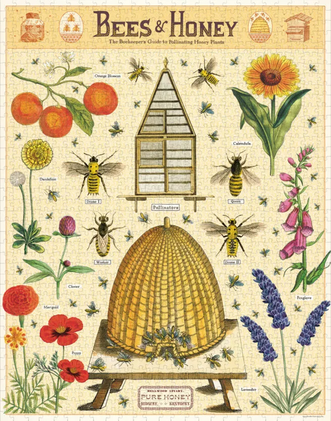 Cavallini 1000 Pc Puzzle – Bees & Honey