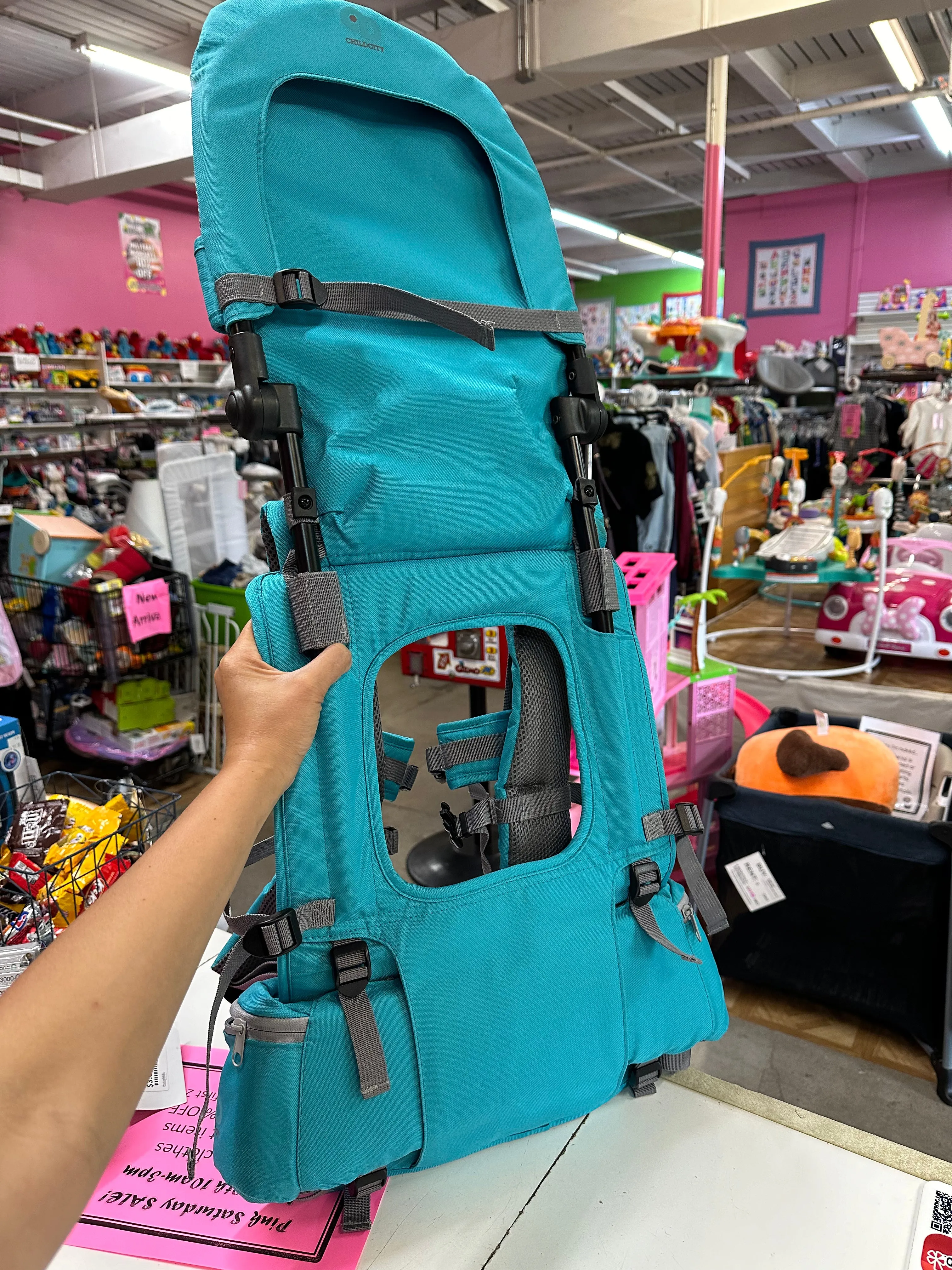 Child City Hiking Backpack Carrier