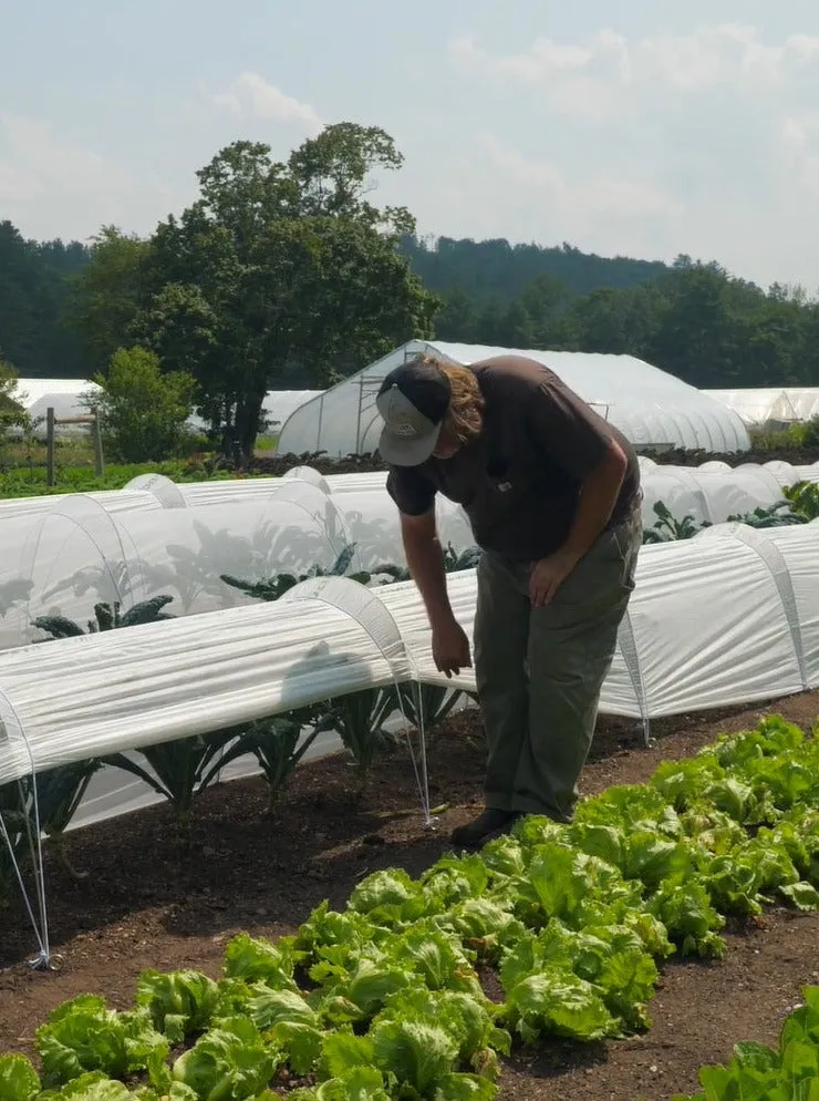 LowCat™ Tunnel Farm Starter Kit