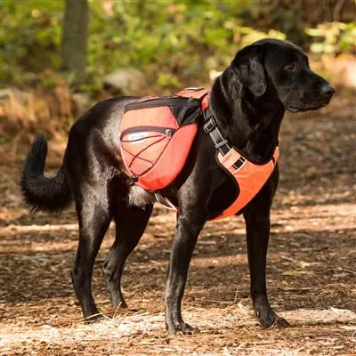 Saranac Backpack for Dogs by BAYDOG