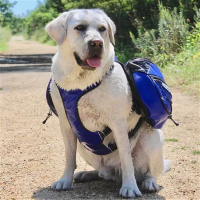 Saranac Backpack for Dogs by BAYDOG